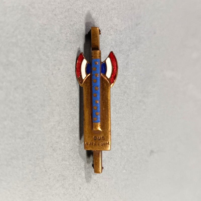 PETIT INSIGNE OU BROCHE PROPAGANDE OU SOUVENIR DU MARECHAL PETAIN 1940 1944 GVT DE VICHY TRAVAIL FAMILLE PATRIE FRANCISQUE